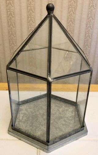Vintage 10.  5 " Glass & Metal Cloche Dome Display Diorama Plant Terrarium
