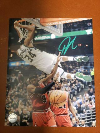 Giannis Antetokounmpo Framed 8x10 Signed Photo Authenticated