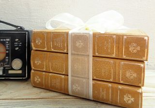 Vintage poetry book set of gold books in faux leather tied with a white ribbon 2