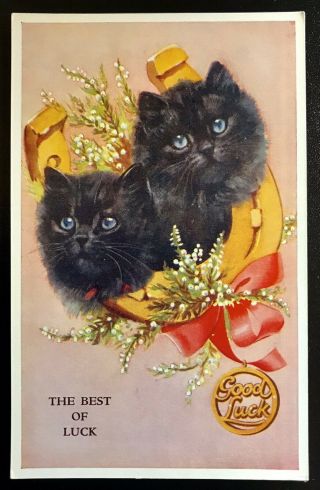 Black Cats Best Of Luck Vintage Postcard Valentine’s Series Horseshoe