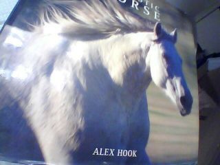 Majestic Horse By Alex Hook Large Horse Art Photography Coffee Table Book 2005