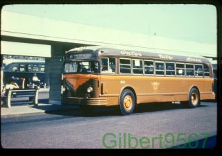Inter City Bus Lines (nj) Duplicate Bus Slide 52