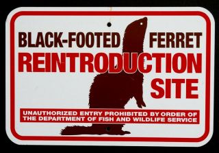 Black Footed Ferret Habitat Vintage Fish & Wildlife Service Forestry Trail Sign