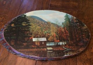 Vintage Tree Slab Picture Of Cabin Woods Camp Lake On Rough Edge Lacquered Log