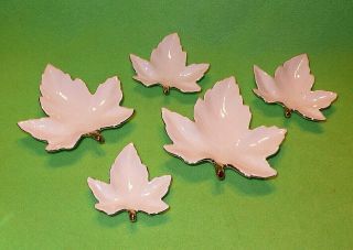 Set Of 5 Vintage Pottery Maple Leaf Trays With Gold Trim.  5 Sizes Up To 4 5/8 "