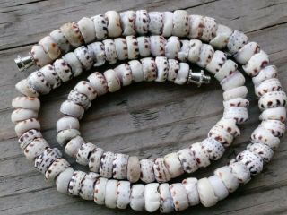 Vintage Hawaiian Tiger Puka Shell Bead Strand Necklace 15 " Barrel Clasp