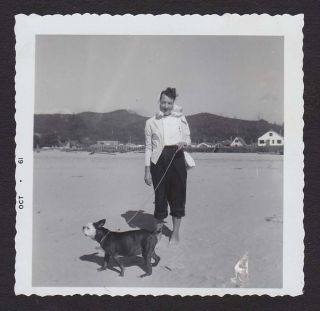 Boston Terrier Dog Windy Day @ The Beach Old/vintage Photo Snapshot - W233