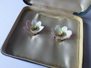 Vintage Porcelain China Floral Royal Crown Derby Earrings In Case