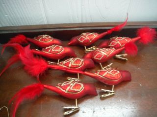 8 Vintage Christmas Tree Glass Ornament Red Bird /gold Feather Tail Clip On