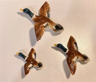 Vintage Trio Wall Ducks,  Wall Art,  Hanging Art,  Hand Painted,  Made In Australia
