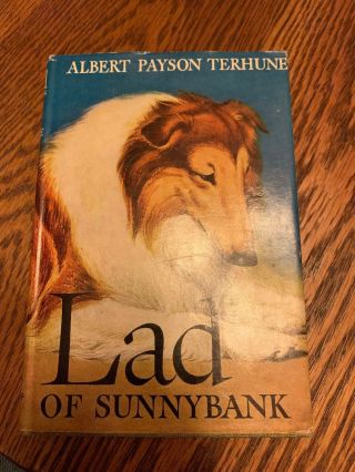 " Lad Of Sunnybrook " By Albert Payson Terhune Vintage Hardcover Dog Story 1929