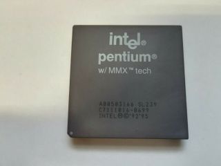 Intel Pentium 166 Mmx A80503166 Sl239,  Vintage Cpu,  Gold,  Top