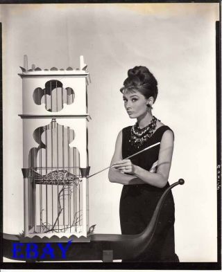 Audrey Hepburn Stands By Paper Fish In Cage Vintage Photo From Neg