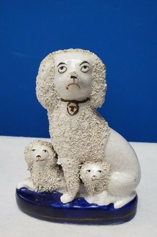 Staffordshire Figurine England Confetti 3 Dogs Poodles Vintage 5 - 1/2 "