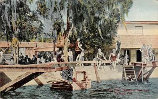 Tampa Florida Sulphur Springs Swimming Pool Vintage Postcard Jh230912