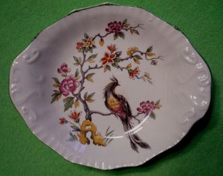 Vintage English Porcelain Vanity Dish With Bird Perched In A Flowering Tree.  Exc