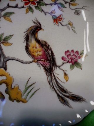 Vintage English porcelain vanity dish with bird perched in a flowering tree.  Exc 2