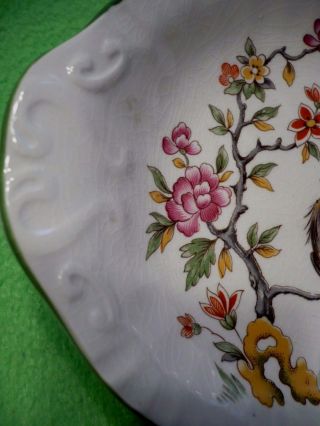 Vintage English porcelain vanity dish with bird perched in a flowering tree.  Exc 3