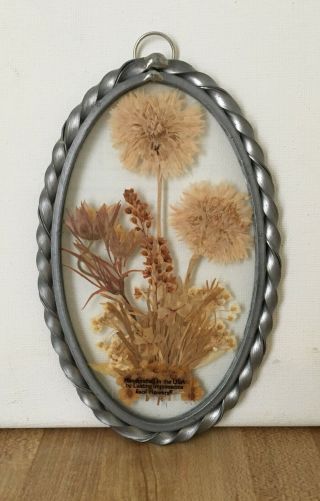 Vintage Dried Pressed Flowers Suncatcher In Pewter Frame Lasting Impressions