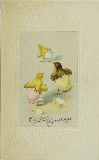 Circa 1910 Easter Chicks Hatching Embossed Vintage Postcard P54