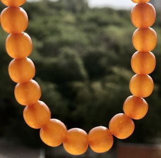 Vintage 60s Baltic Amber Necklace Choker Graduated Round Butterscotch Beads.