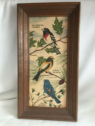 Vintage Framed Birds Painted On Fabric Wall Hanging