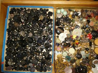 Vintage Buttons,  Glass,  Metal,  Shell,  Celluloid And Porcelain