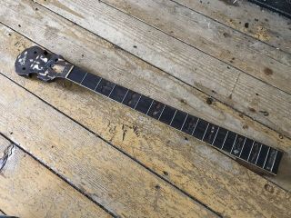 Vintage Prewar Gibson Tb - 3 Tenor Banjo Neck Inlay