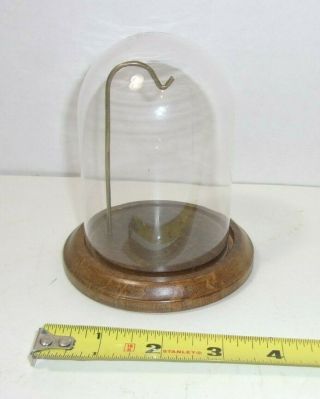 Vintage Pocket Watch Glass Dome Display Case Stand W/ Wood Base Felt Bottom