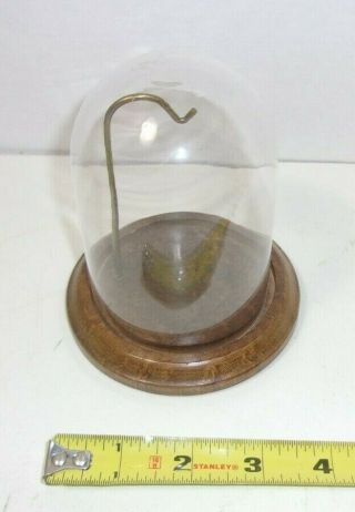 Vintage Pocket Watch Glass Dome Display Case Stand w/ Wood Base Felt Bottom 2