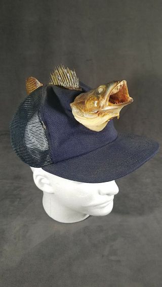 One Of Kind Fishing Hat With Taxidermy Fish.  Vintage Bass Fish? Mrstuff Jm160