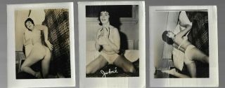 Vintage Risque Pinup Photos 3 Of Johne On Bed W Lingerie Different Poses 1950s