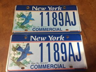York Specialty License Plate Bluebird Roger Tory Peterson Commercial