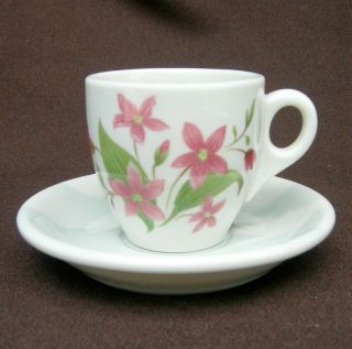 Railroad Dining Car China - Great Northern " Mountains And Flowers " Demitasse