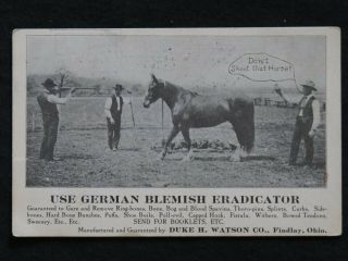 Vintage Trade Card Horse Blemish Eradicator By Watson Co Findlay,  Oh