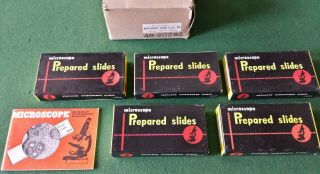 60 Slides - 5 Boxes Vintage Microscope Prepared Slides Specimen Montgomery Ward