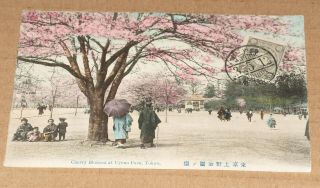 Vintage Japan Postcard 1912 Cherry Blossom At Uyeno Park Tokyo -