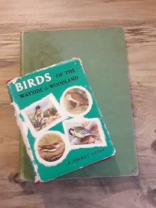 Vintage Books On British Birds From 1964 & 1954