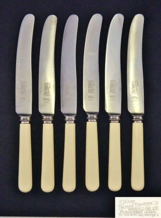 6 Vintage Thomas Turner & Co Faux Bone Handle Sheffield 9 " Table Dinner Knives