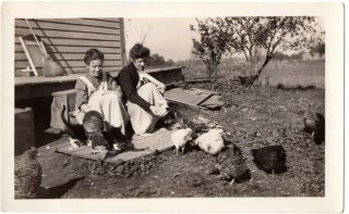 Vintage Photo Snapshot Women Feeding Chickens & Cats