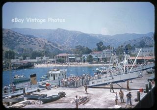3 Vintage Slides Photos Early 1950s Avalon Bay Santa Catalina Island Jb367