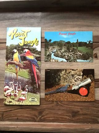Vintage 1960 Parrot Jungle Miami Fl Fold - Out Pamphlet And 11 Postcards - Bird