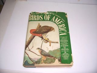 Birds Of America Vtg 1936 Hardcover Book 514 Color Bird Portraits Louis Fuertes