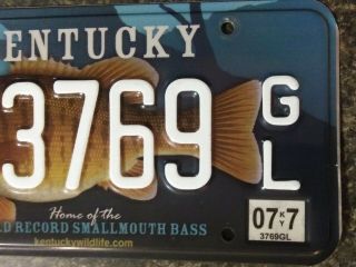 KENTUCKY HOME OF THE RECORD SMALLMOUTH BASS LICENSE PLATE 3769 GL 3