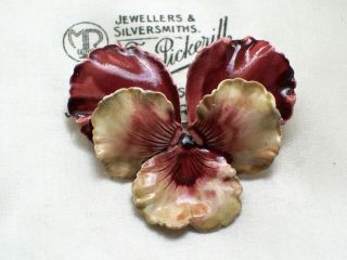 Vintage Jewellery Art Nouveau Style Enamel Pansy Flower Brooch Pin