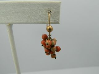 Exquisite Vintage 14k Yellow Gold Pink Coral Cluster Single Drop Dangle Earring