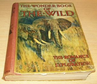 The Wonder Book Of The Wild By Harry Golding Old Hardback