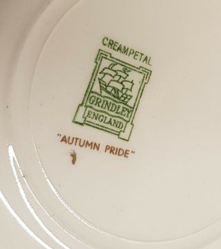 Vintage W H Grindley Cream Petal Autumn Pride Side Plate 1936 - 54 Made in England 2