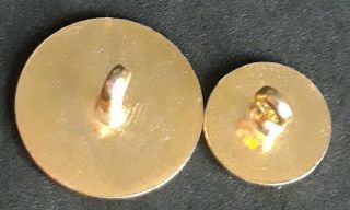 Vintage South & West Wilts Fox Hunt Fox Hunting Buttons 21mm & 15mm Gilt Buttons 3