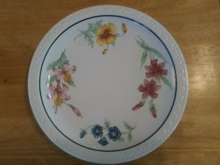 Vintage Southern Pacific Railroad Plate,  Prairie Mountain Wildflowers